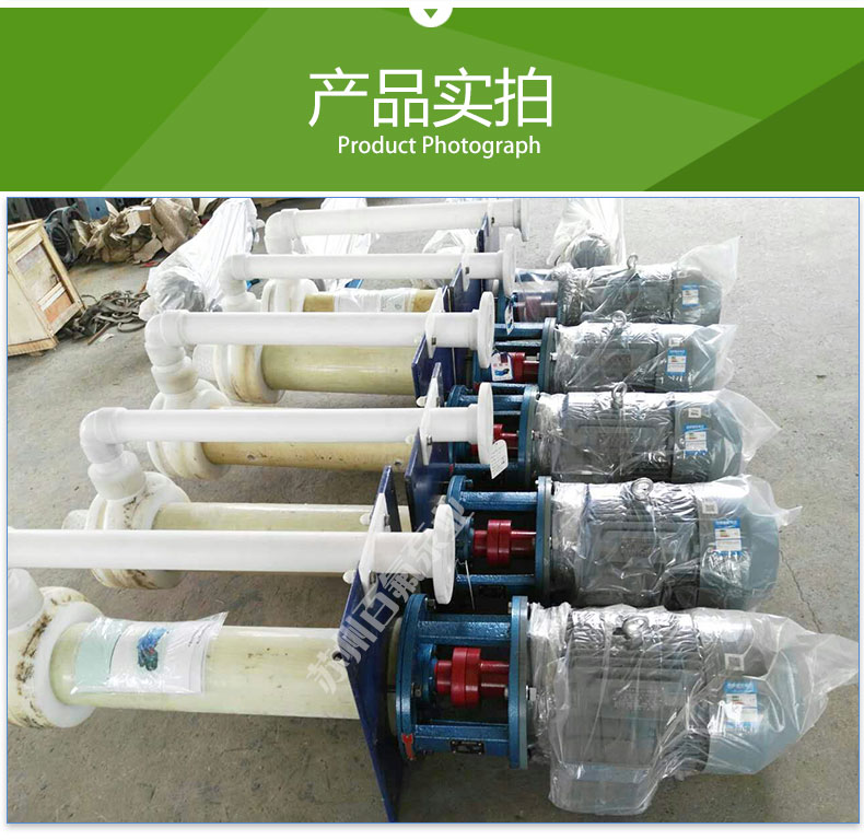 FYU型耐腐耐磨液下泵（bèng）(圖6)