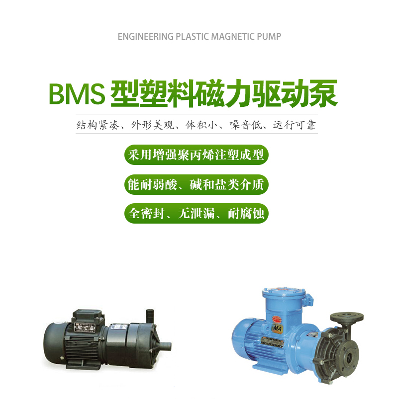 BMS型_塑料磁力（lì）泵(圖1)